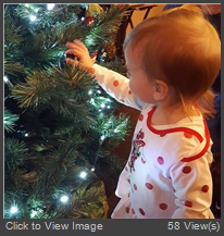Stella-Christmas Tree.jpg